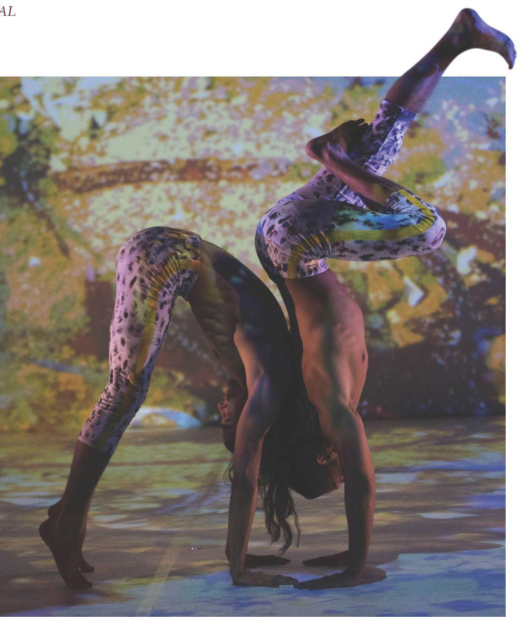 danceau200201_article_034_01_01