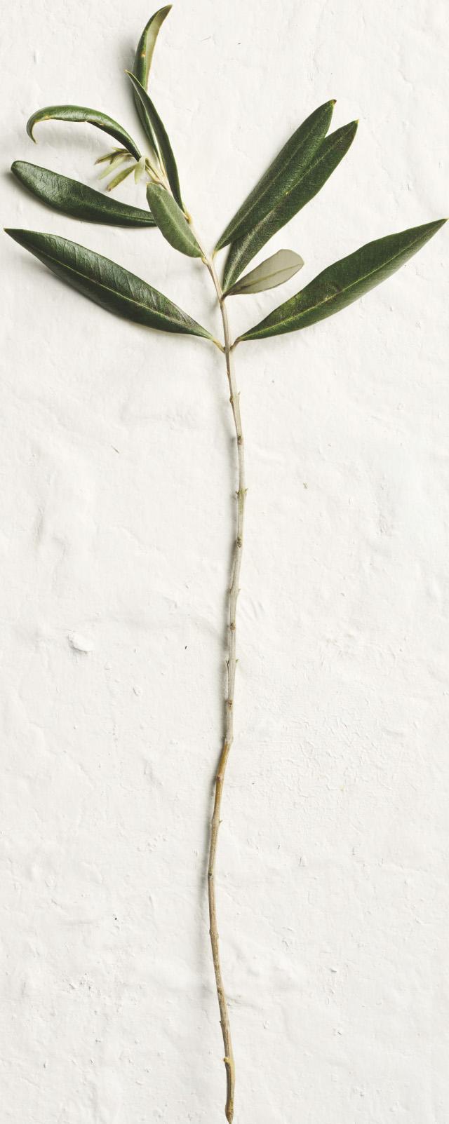 f0056-01