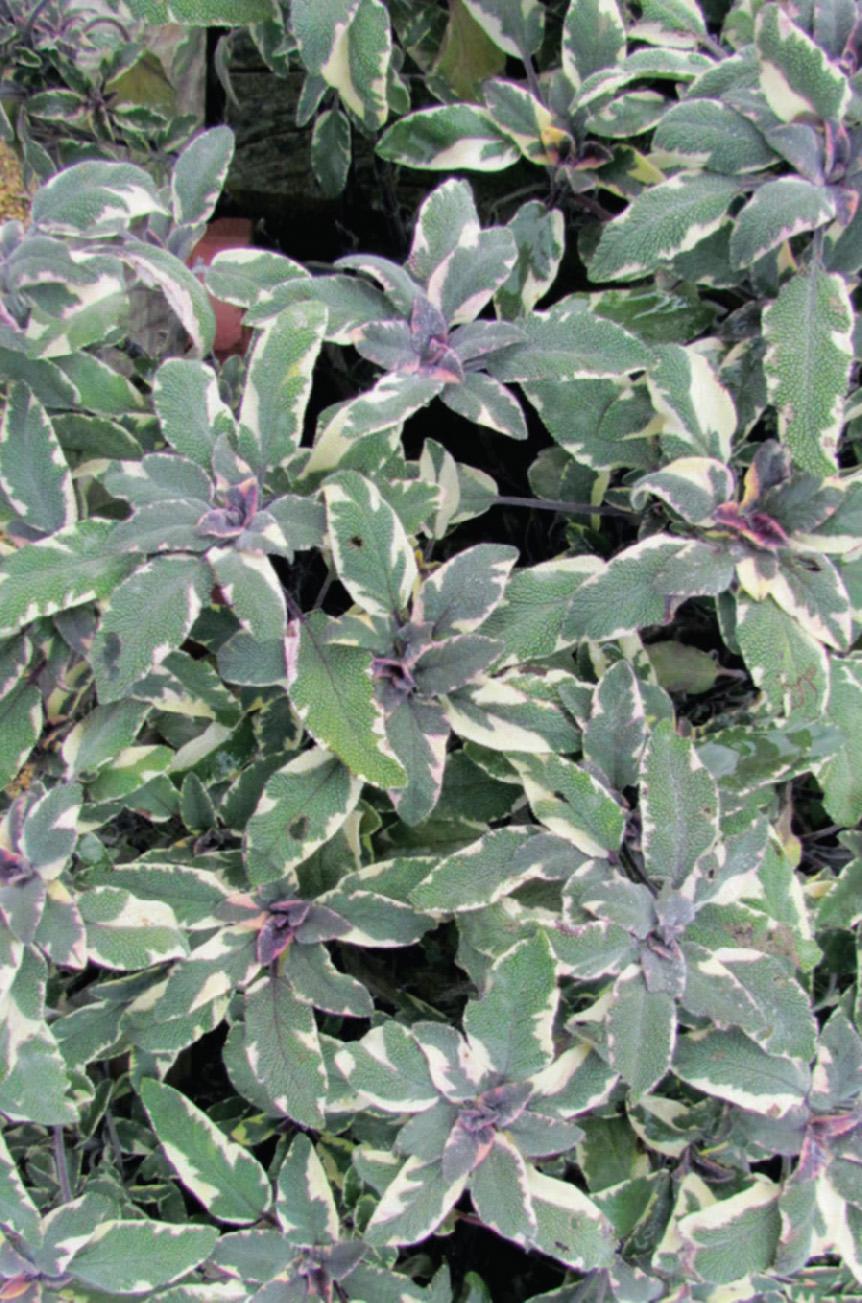 f0030-02