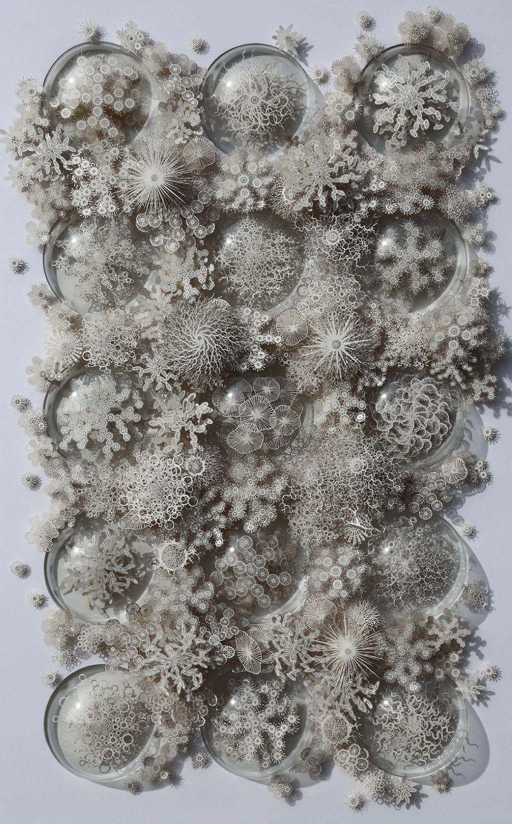 f0028-02