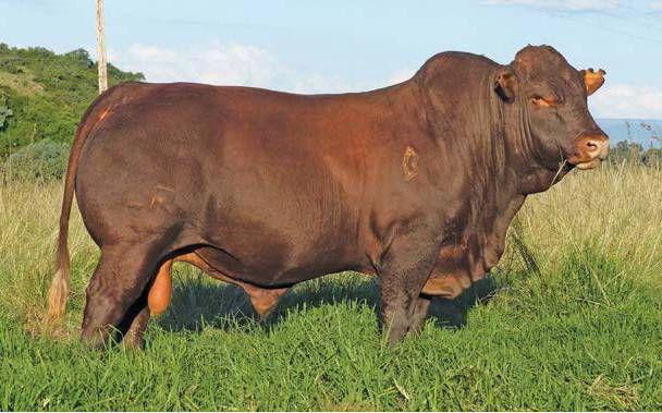 farmweekza200731_article_068_01_03