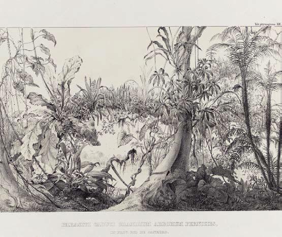f016-02