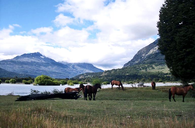 rural Patagonia ranch