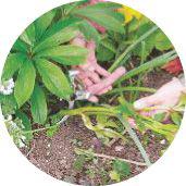 f0009-04