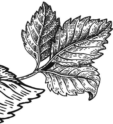 f0042-02