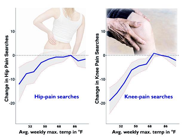 hip- and knee-pain searches