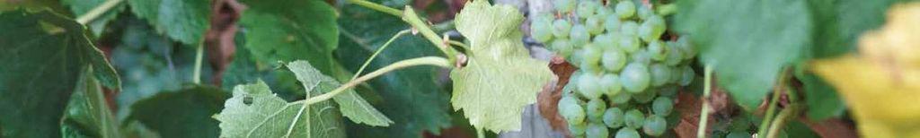 austtrav171101_article_030_01_01