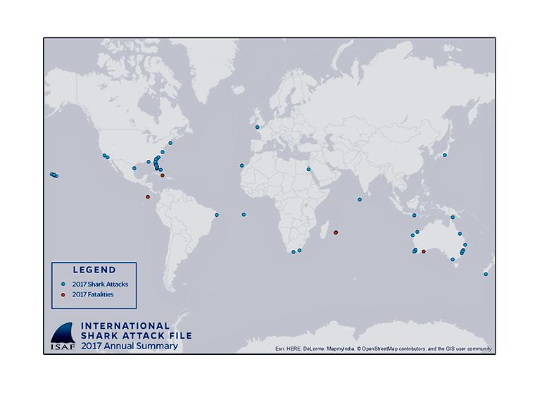 shark attack map 