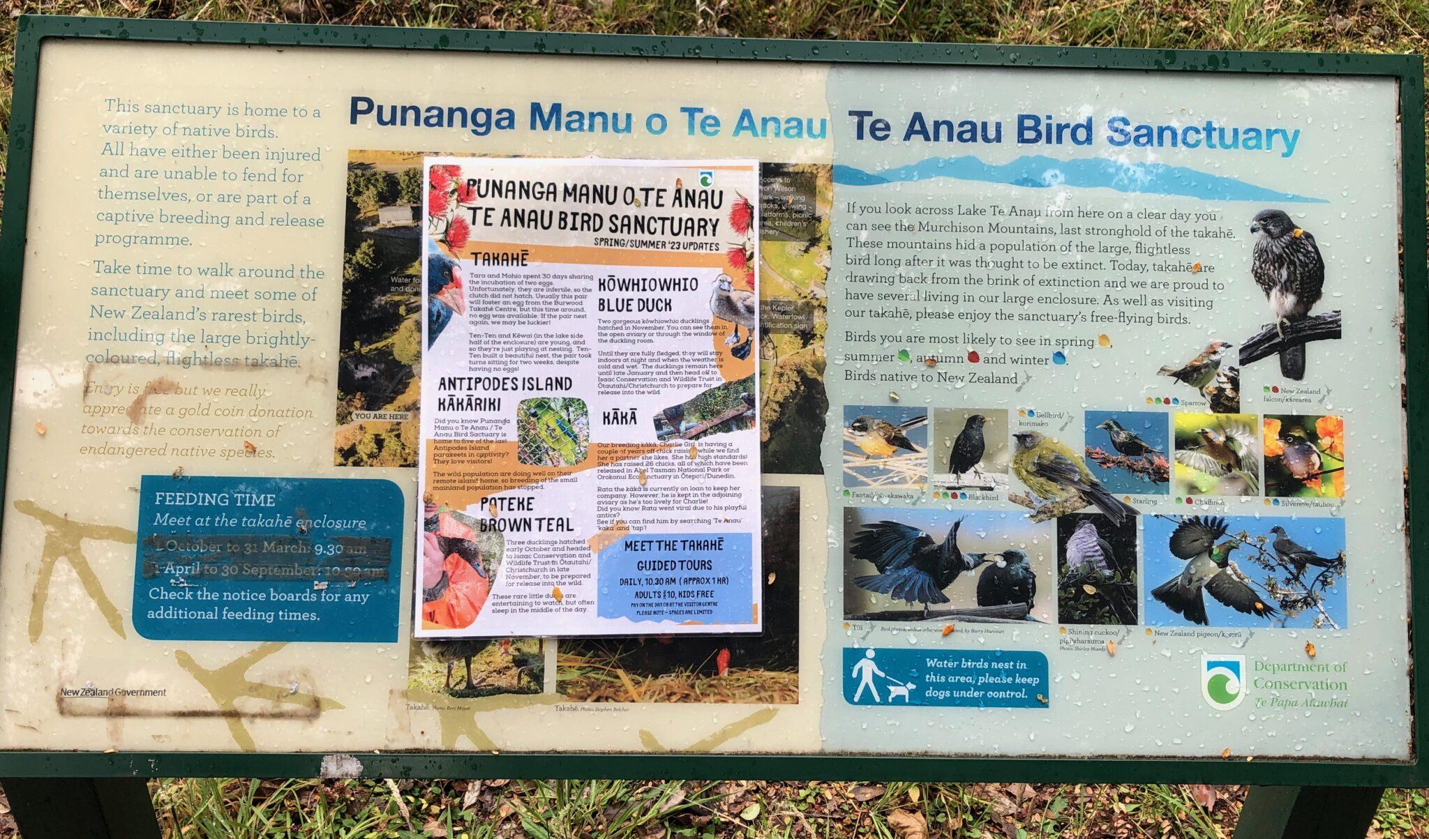 Exploring New Zealand’s Unique Wildlife And Learning About Conservation ...