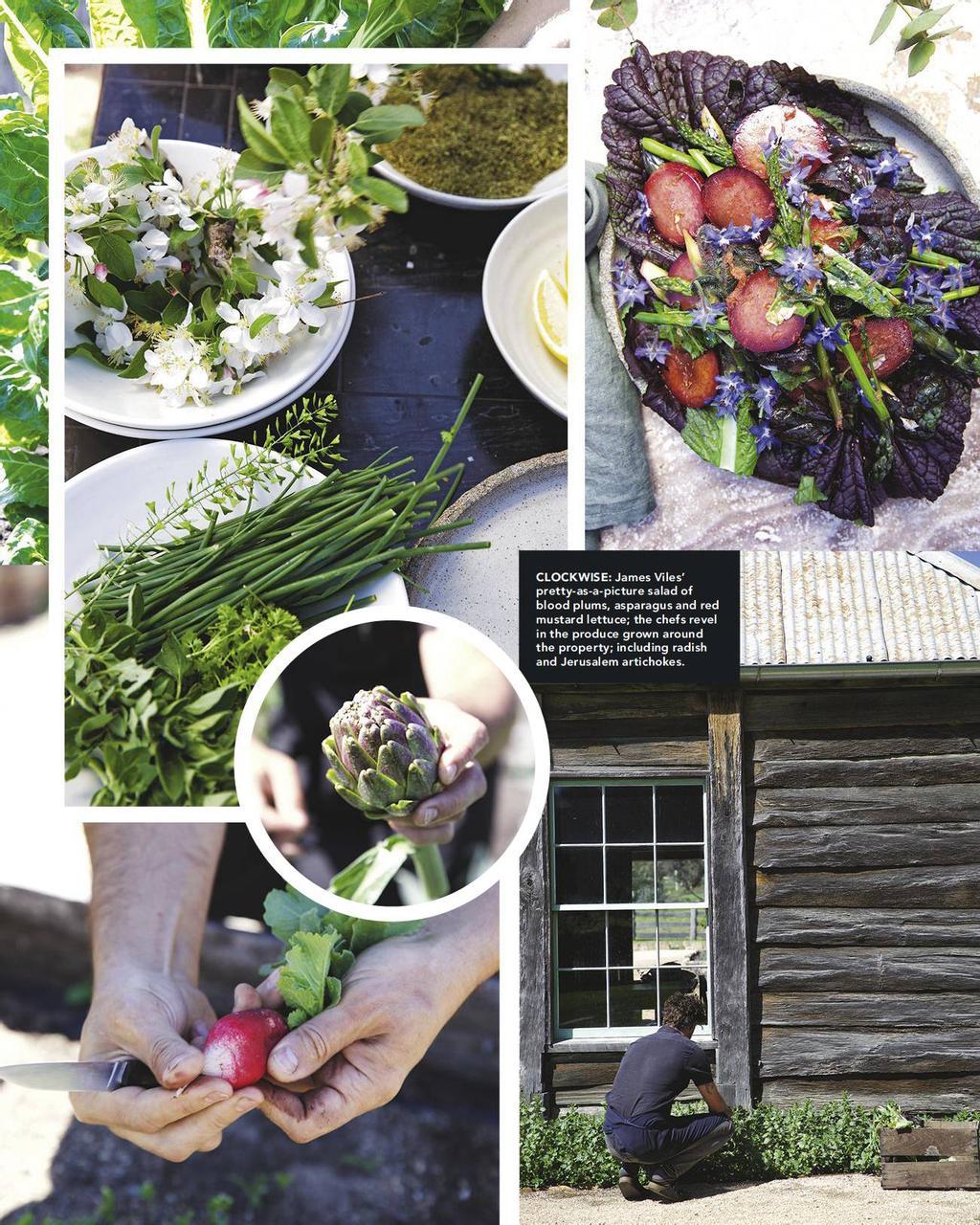 deliciousau2012_article_172_01_03