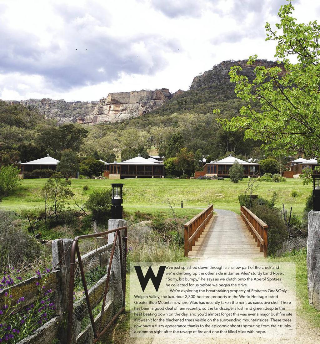 deliciousau2012_article_172_01_02