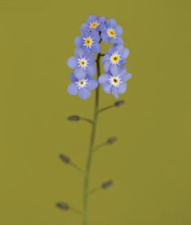 f0047-03