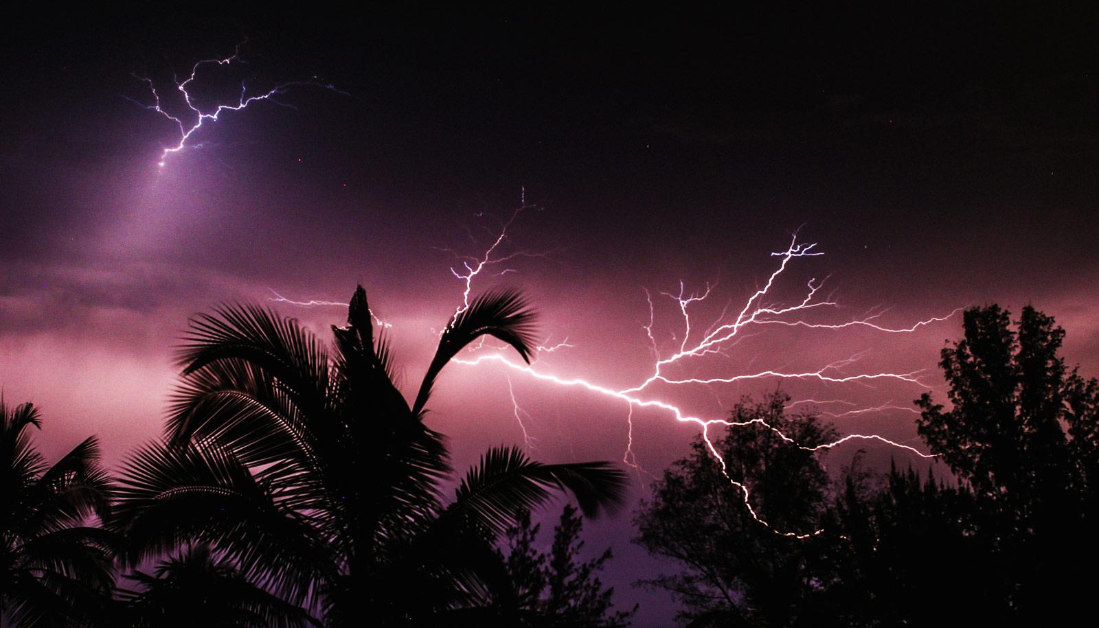 lightning over tropical trees