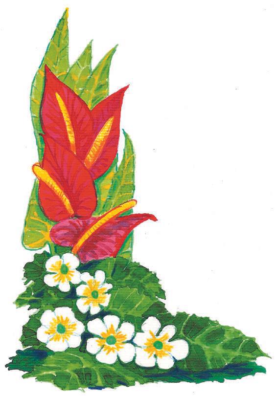f003-01