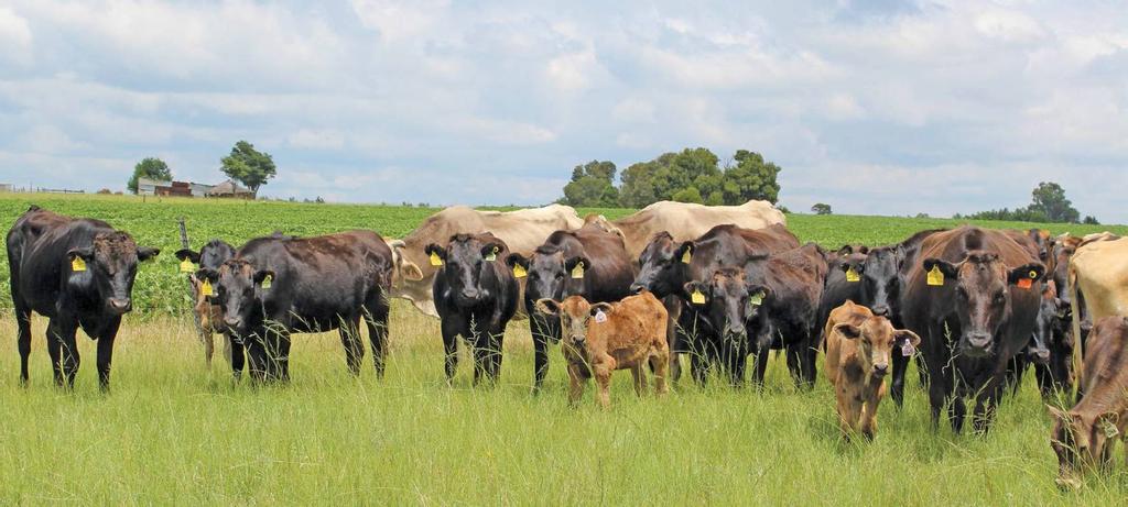 farmweekza210326_article_044_01_01