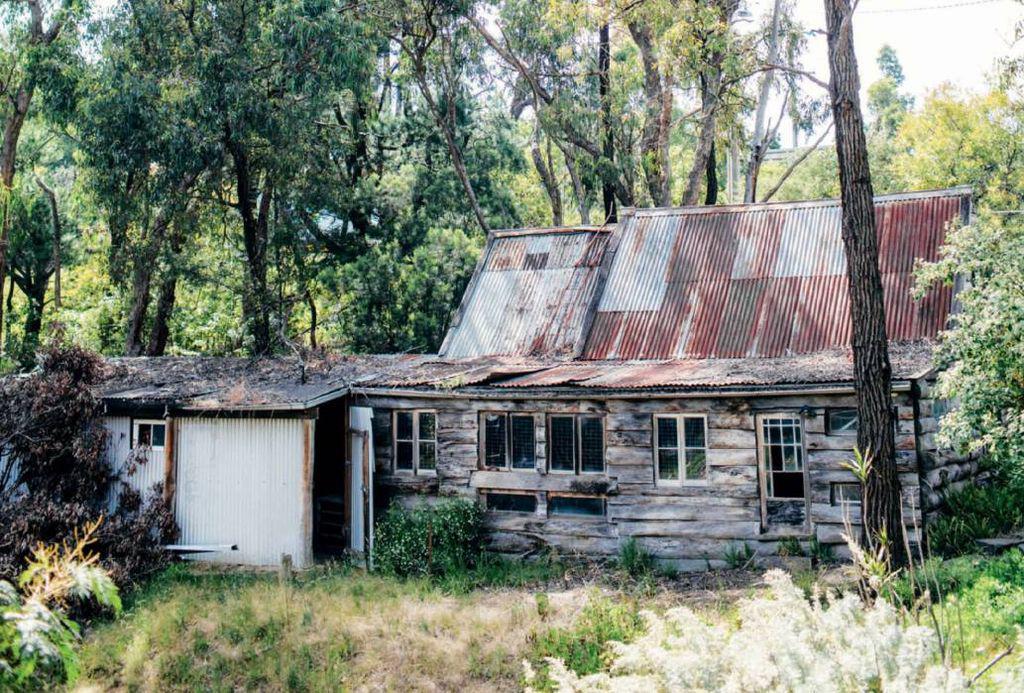 aucountry1704_article_068_01_02 aucountry1704_article_068_01_02