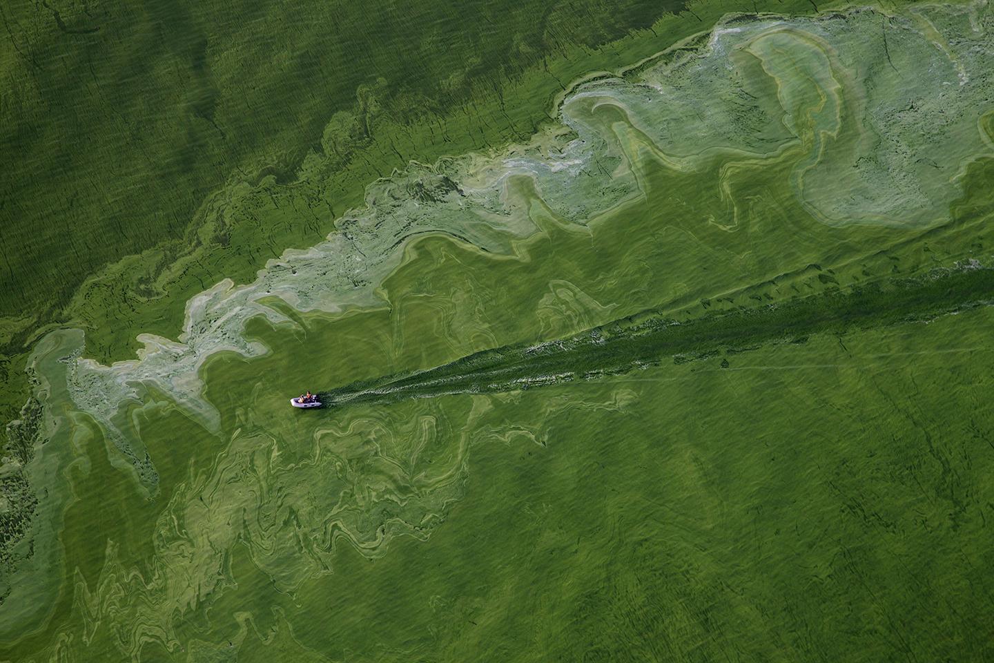 Boats go through an algae bloom on Lake Erie near Toledo, Ohio.