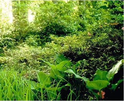 lirefr2004_article_016_01_01