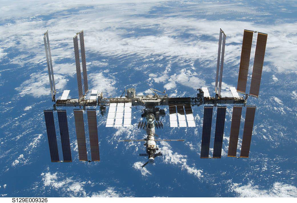 The E. coli samples were sent to the International Space Station to test how they responded to micro-gravity conditions.