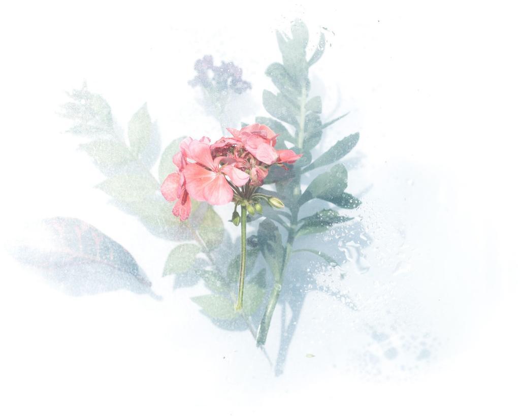 f0024-01