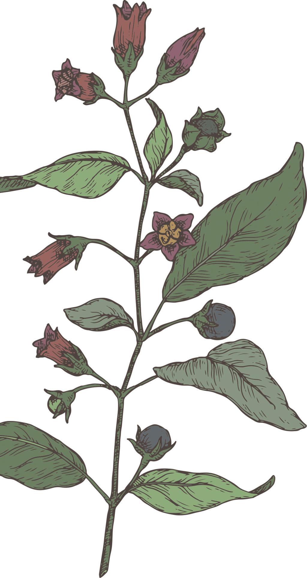 f0040-01