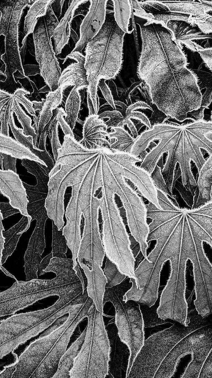 f0078-01