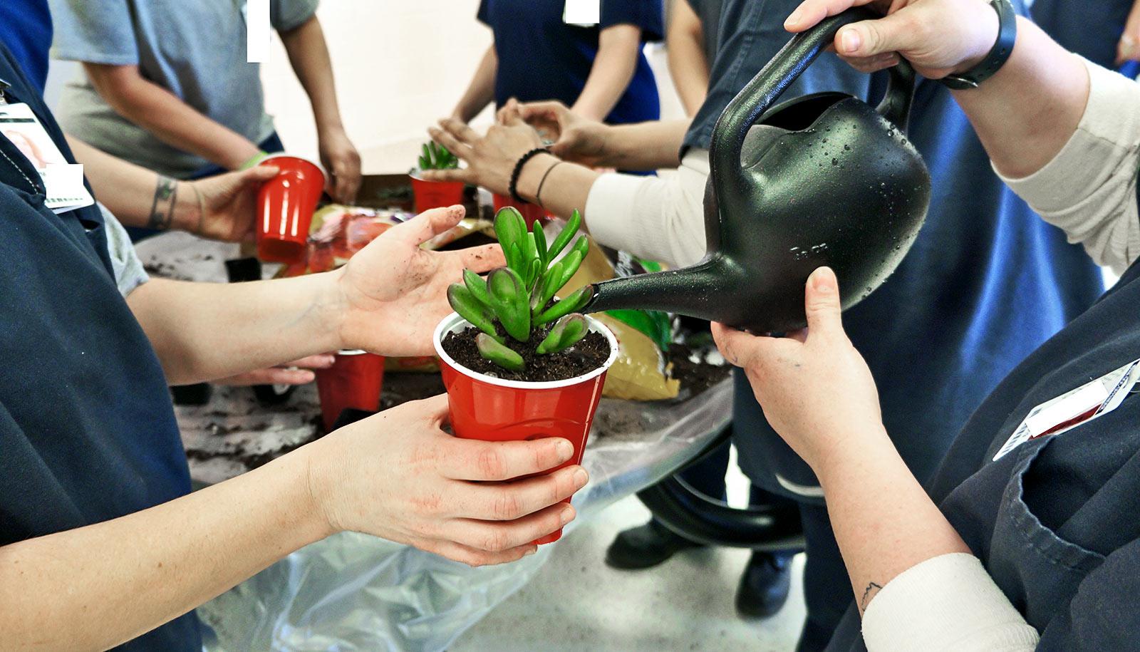 prison gardening