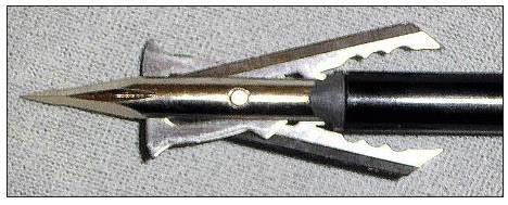 huntjagza2002_article_058_01_05