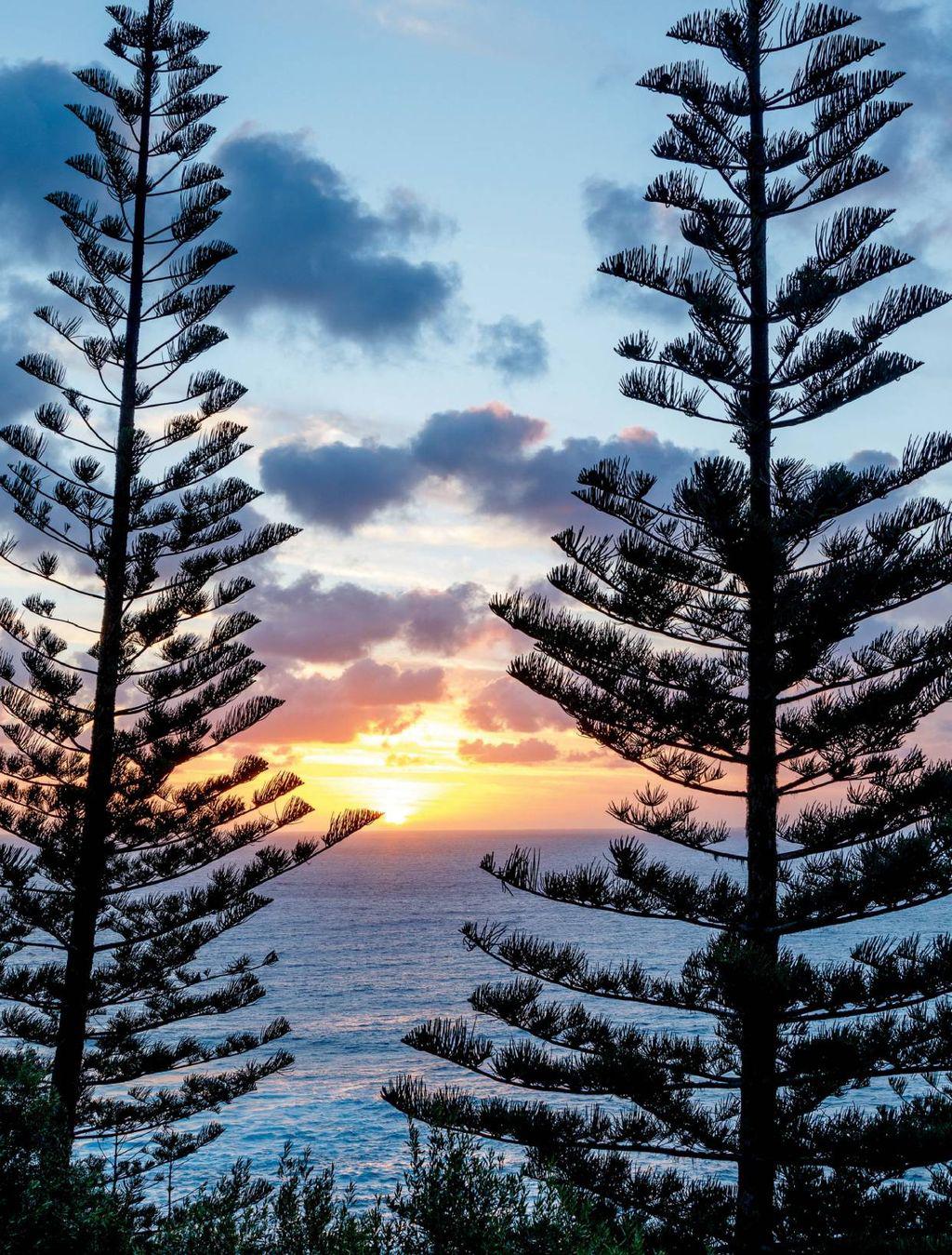 aucountry1704_article_042_01_01 aucountry1704_article_042_01_01
