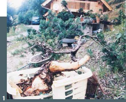 espbon200301_article_035_01_01
