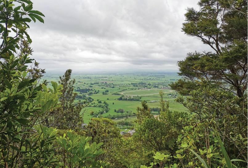 wildernessnz2102_article_029_01_02