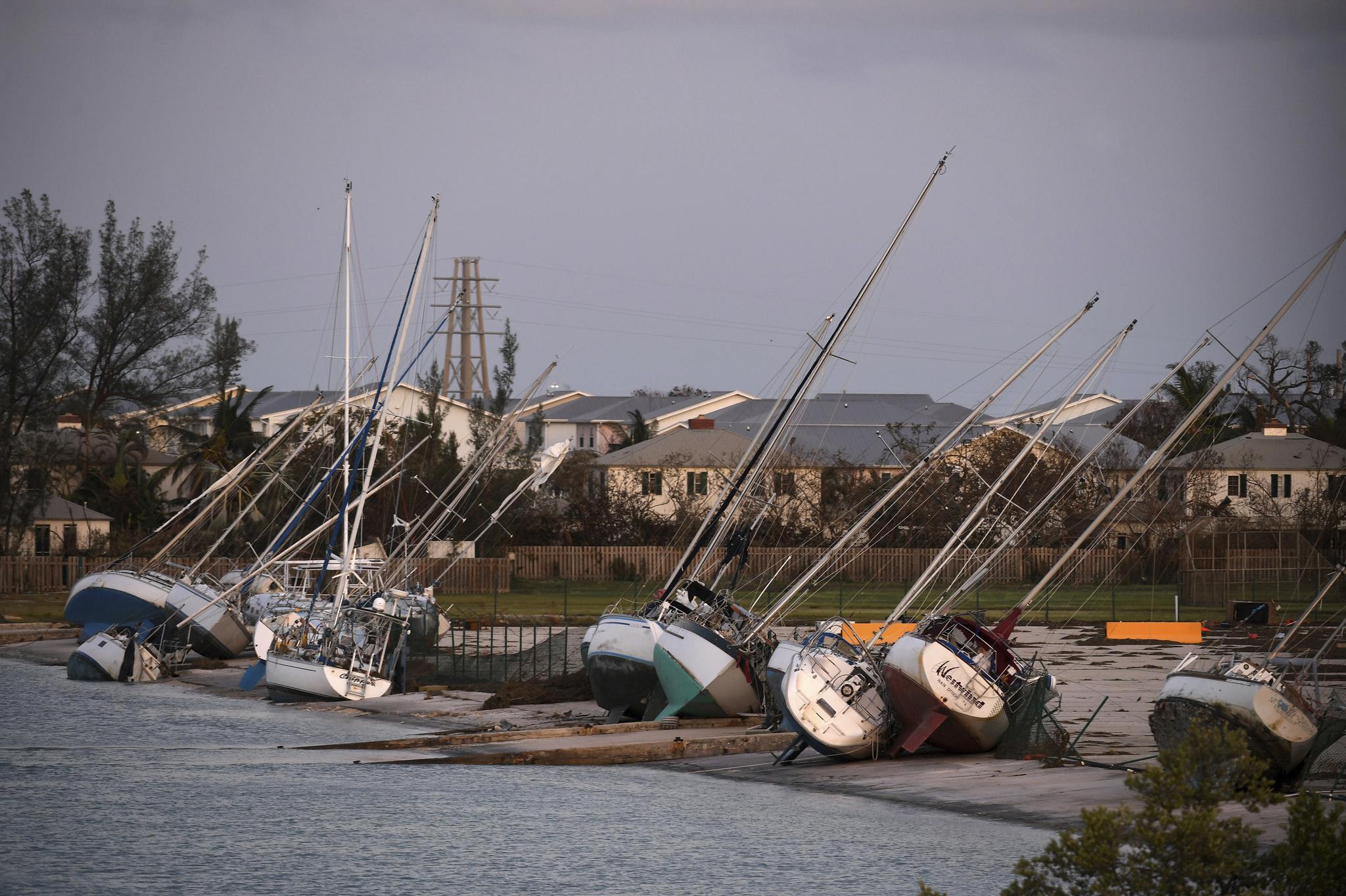 Florida was pummeled by Hurricane Irma.