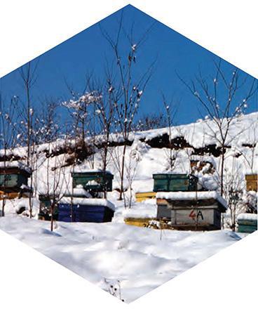 f0100-01