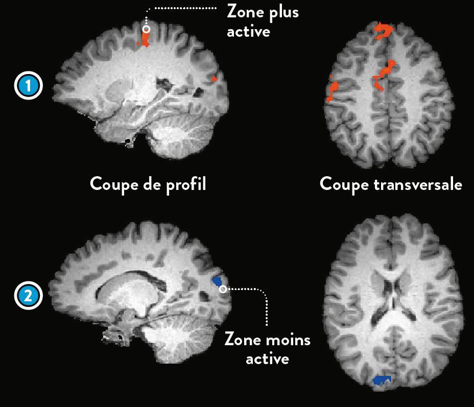 sciviejunfr2011_article_021_01_01
