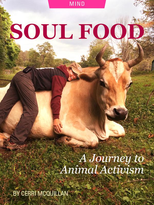 Soul Food: A Journey to Animal Activism by Cerri McQuillan. Photograph of Cerri hugging a cow on the farm